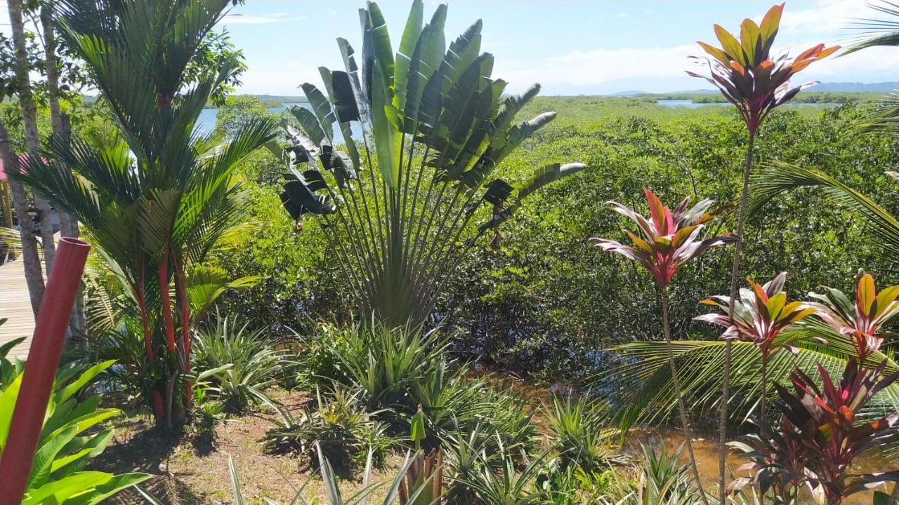 Villa F&B Bocas del Toro Exteriör bild